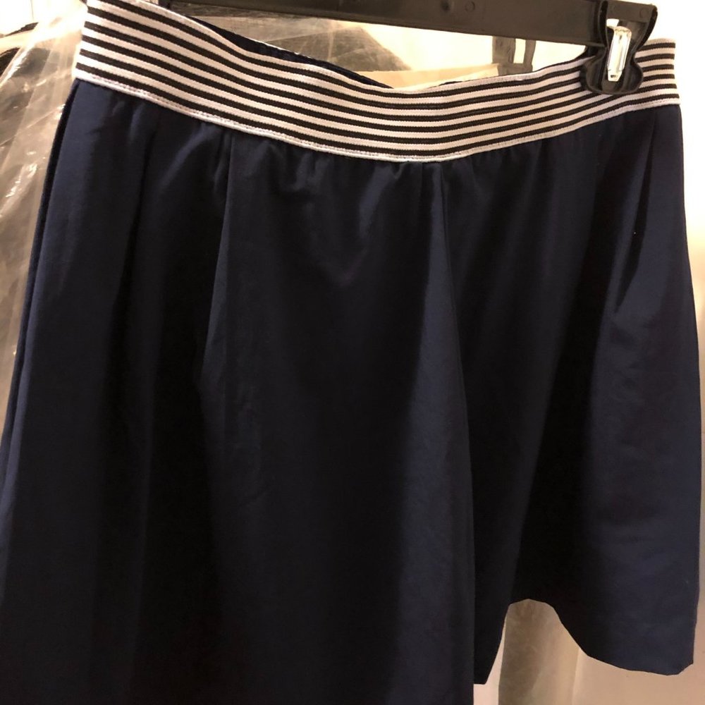 Francesca's blue skirt